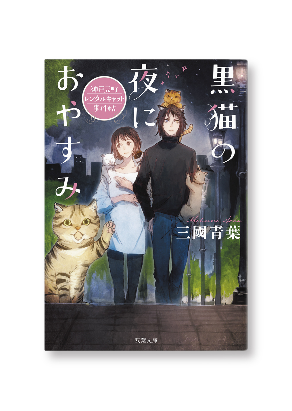 黒猫の夜におやすみ