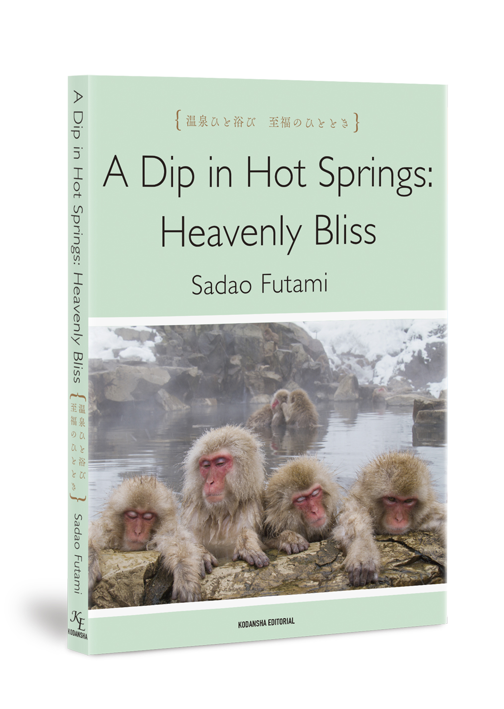 A Dip in Hot Springs : Heavenly Bliss