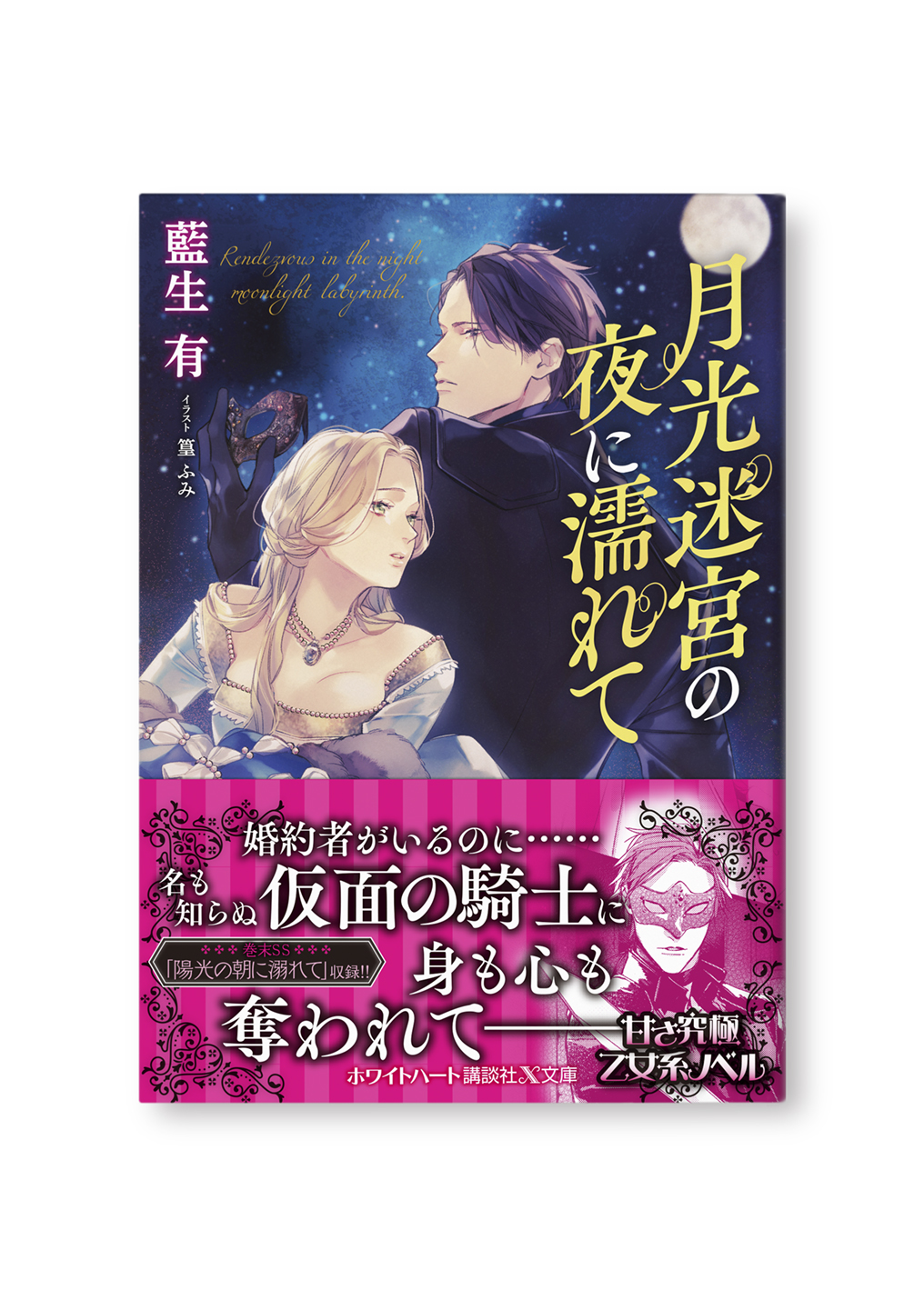 月光迷宮の夜に濡れて