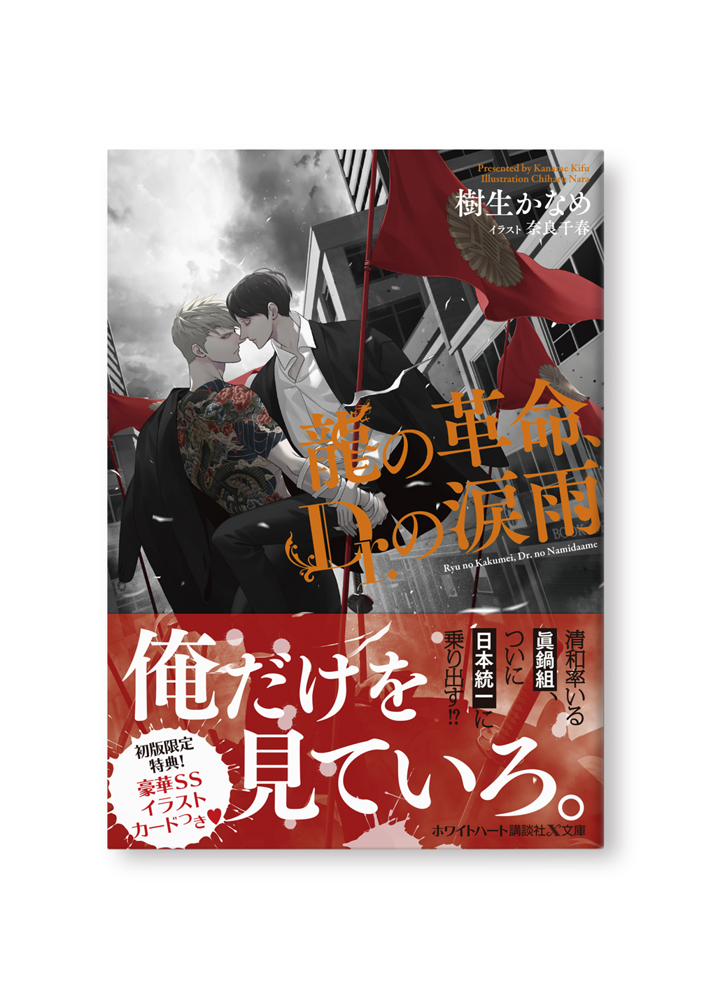 龍の革命、Dr.の涙雨
