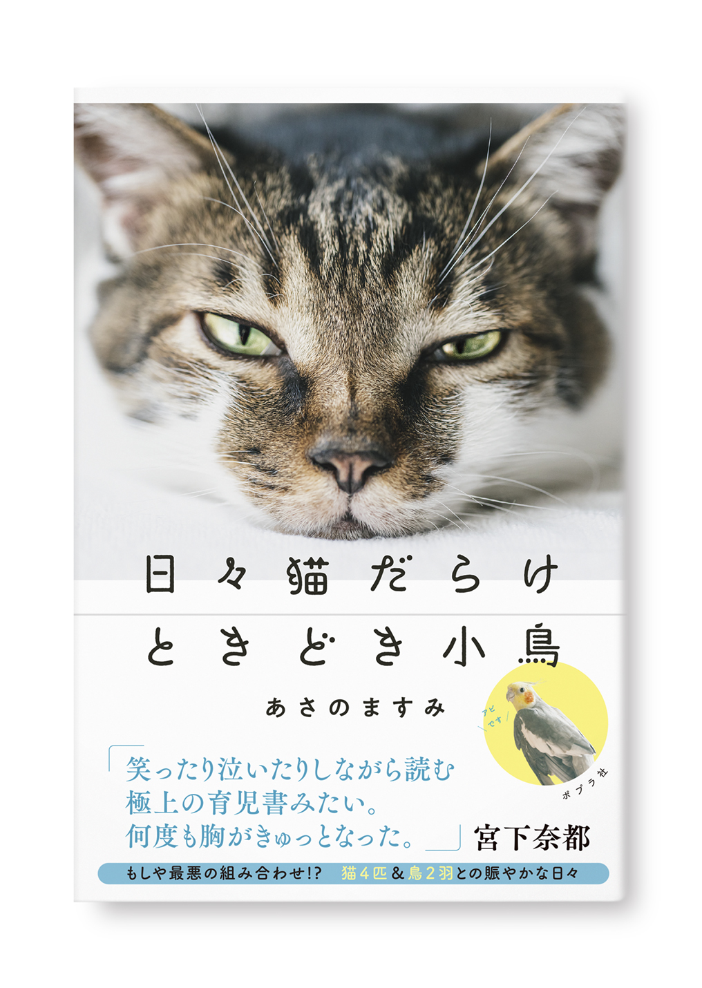 日々猫だらけ、ときどき小鳥