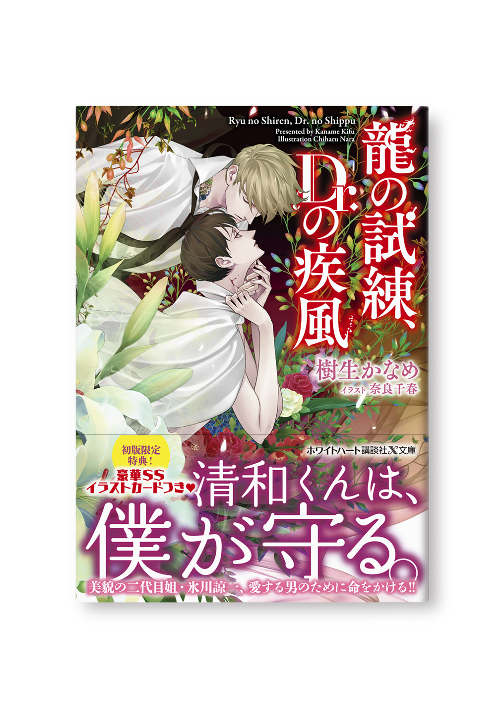 龍の試練、Dr.の疾風