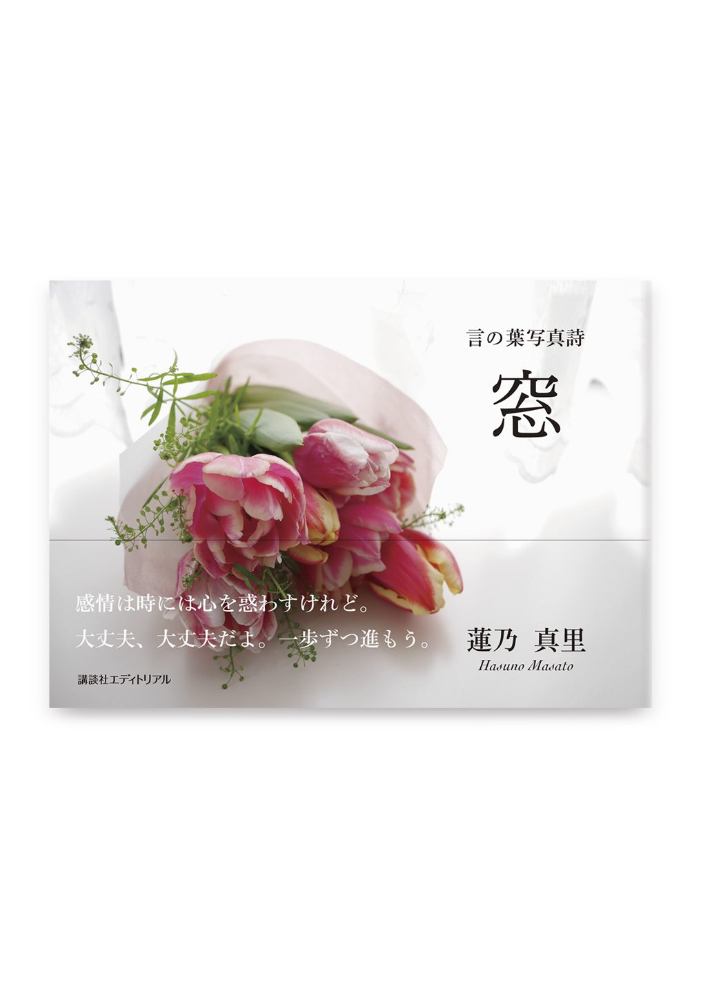 窓