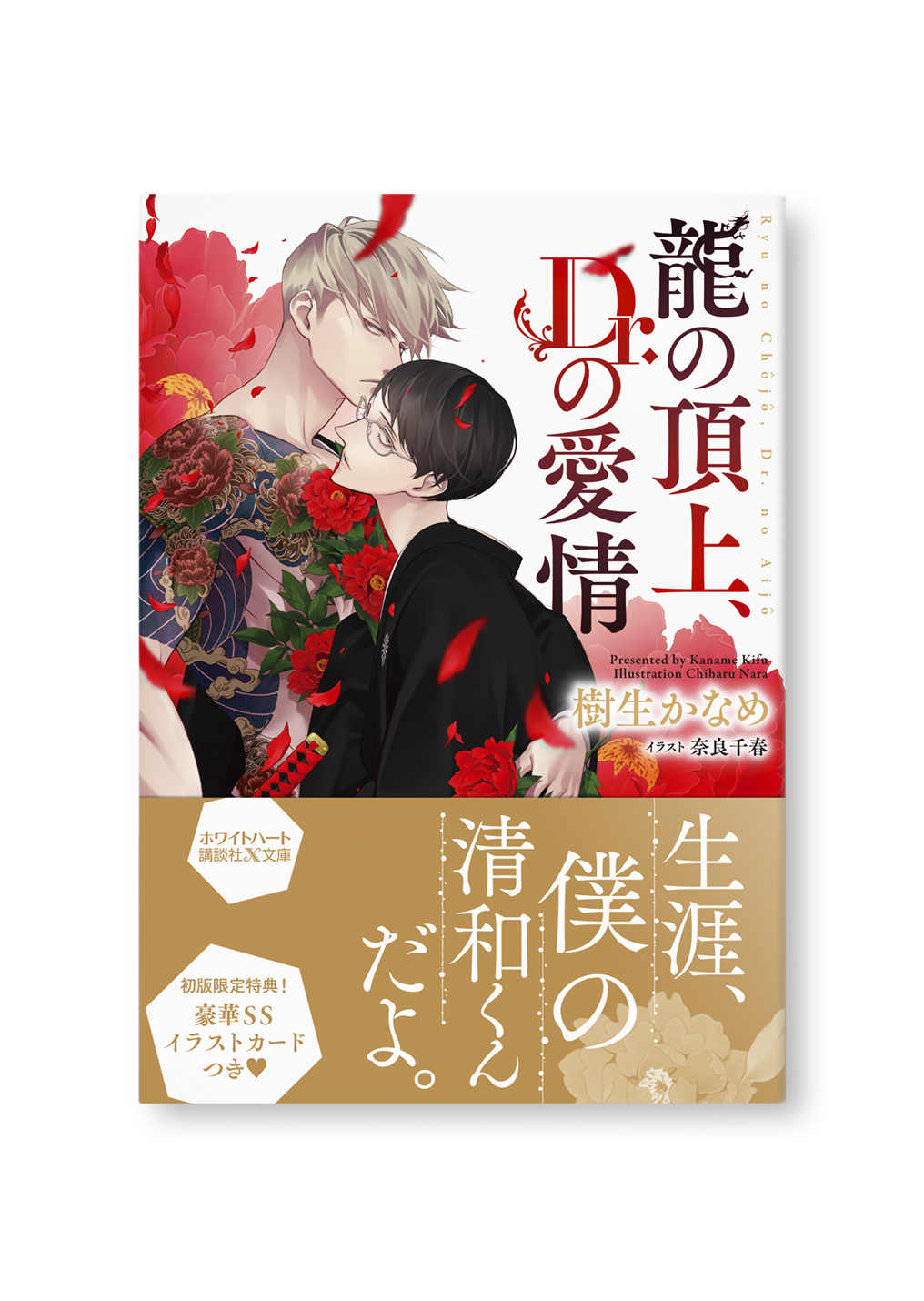 龍の頂上、Dr.の愛情
