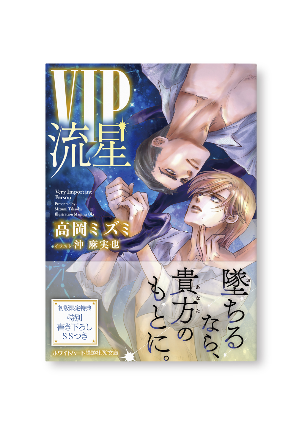 VIP 流星