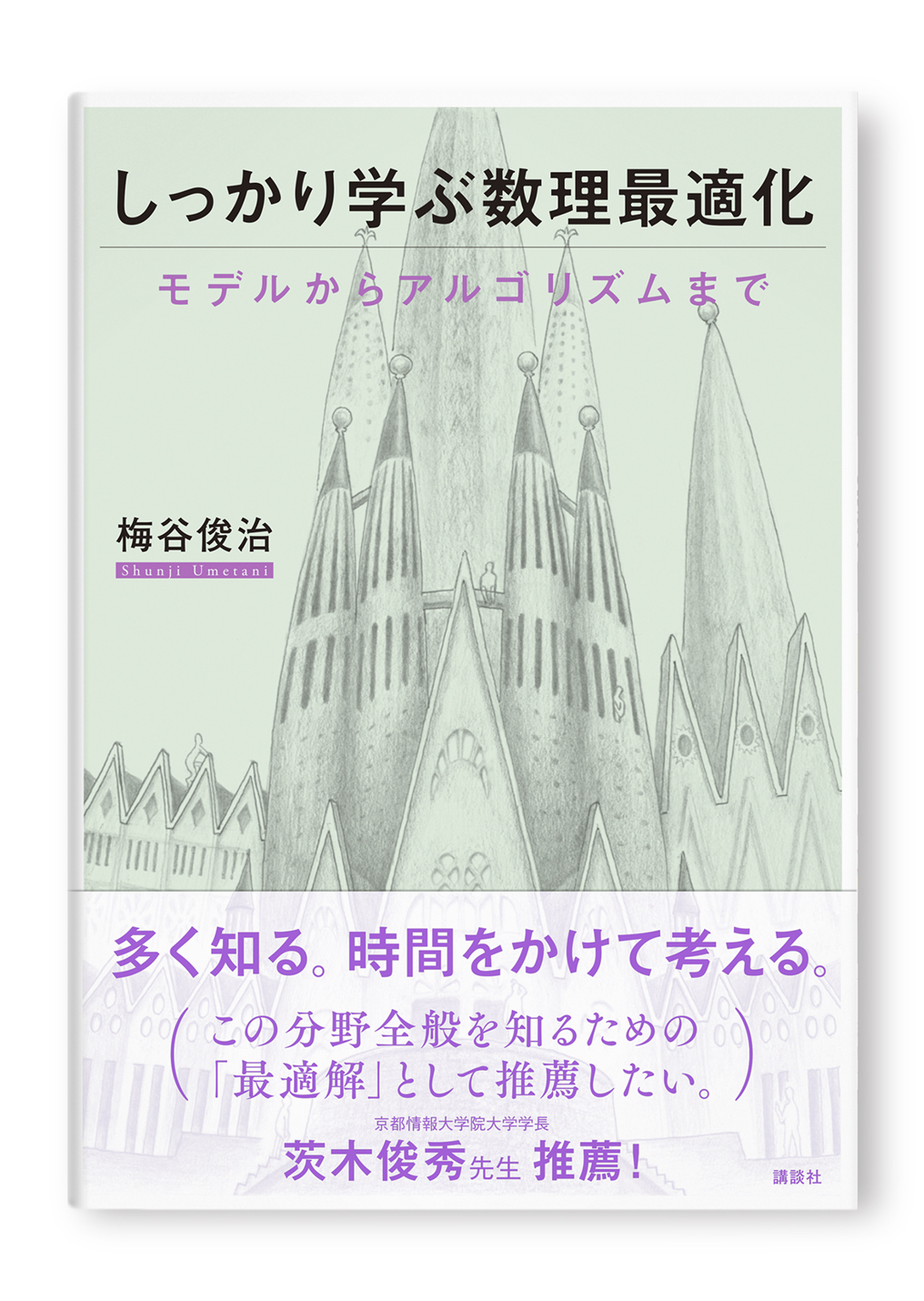 しっかり学ぶ数理最適化