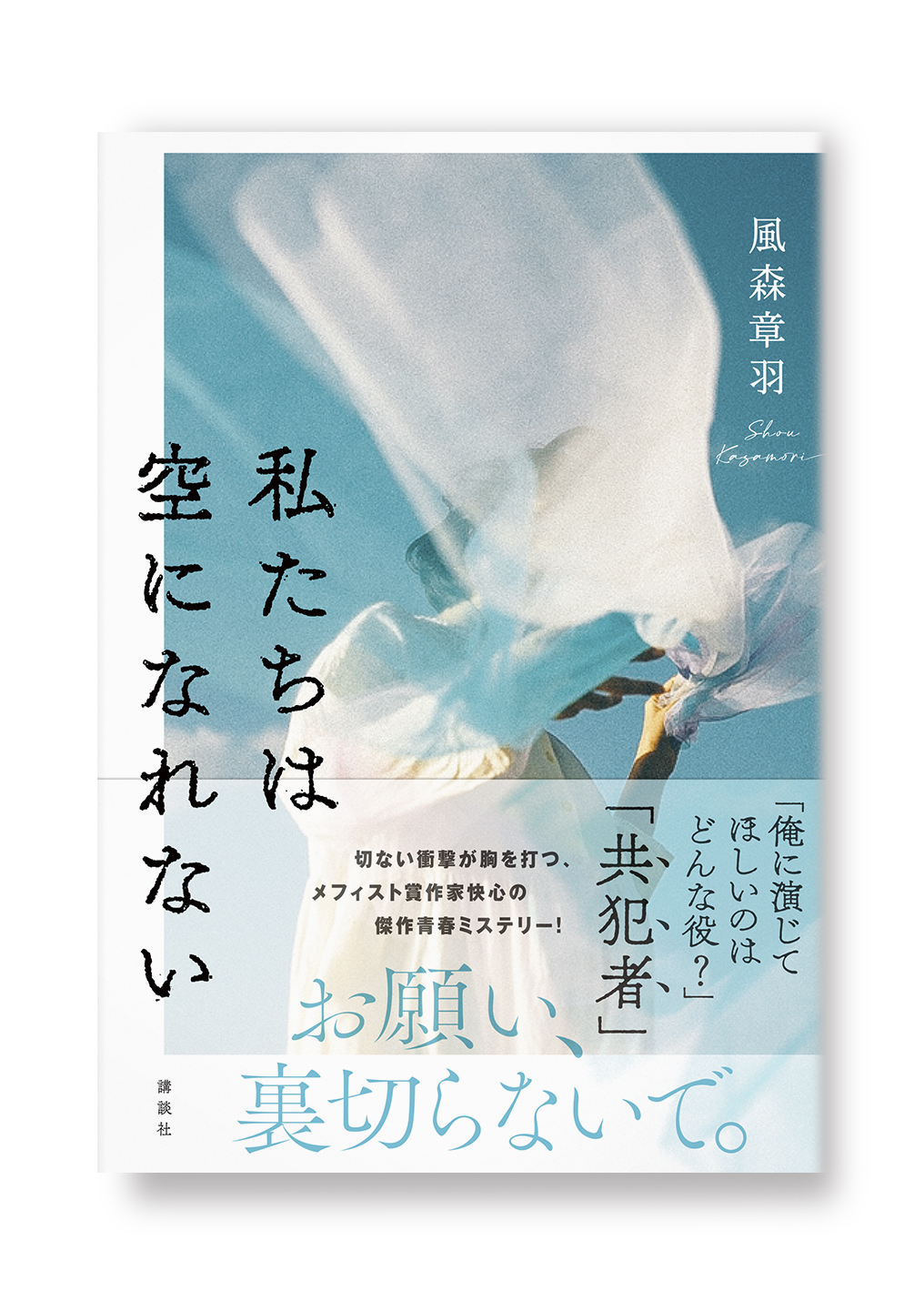 私たちは空になれない
