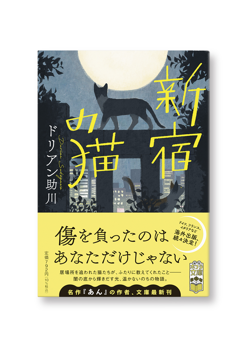 新宿の猫