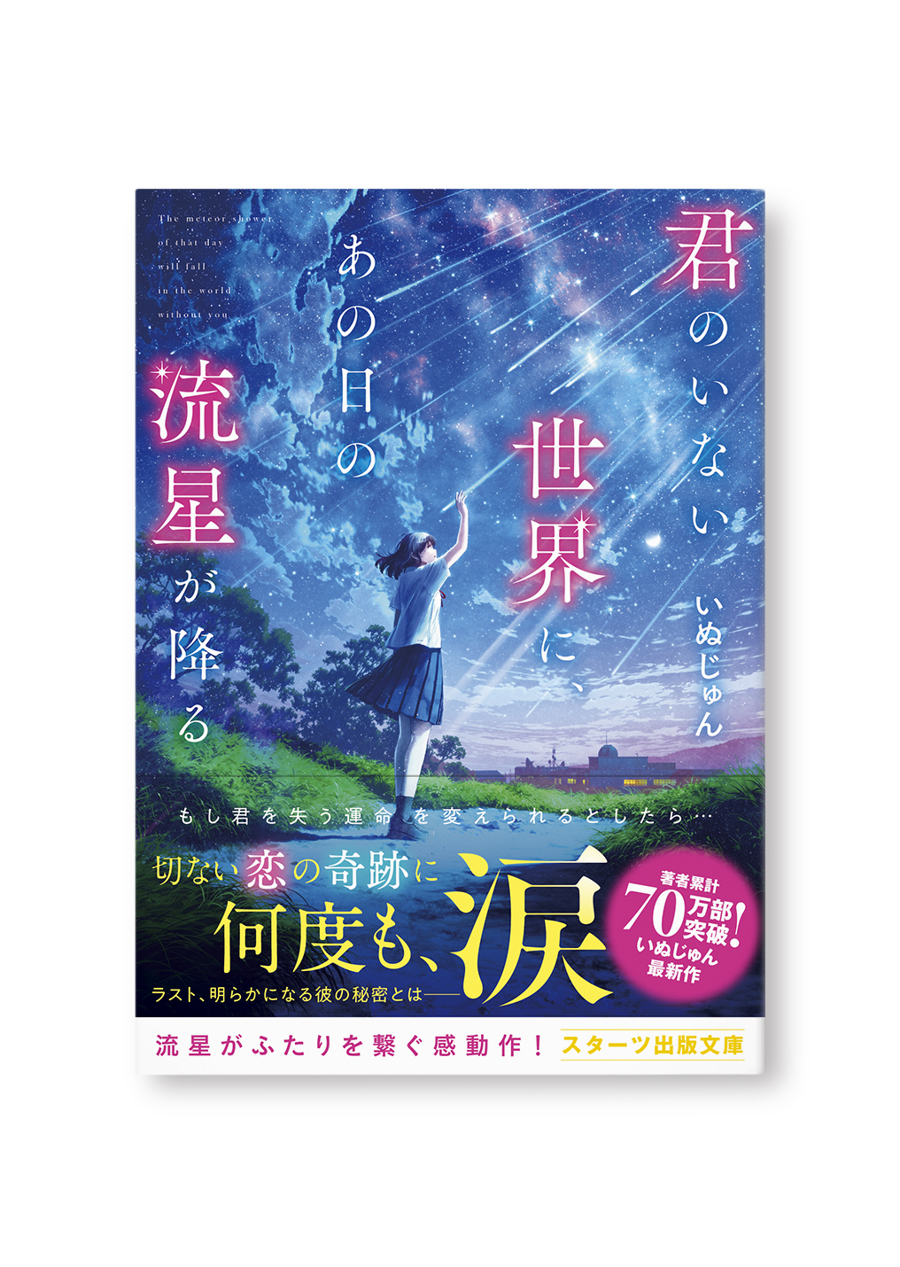 君のいない世界に、あの日の流星が降る