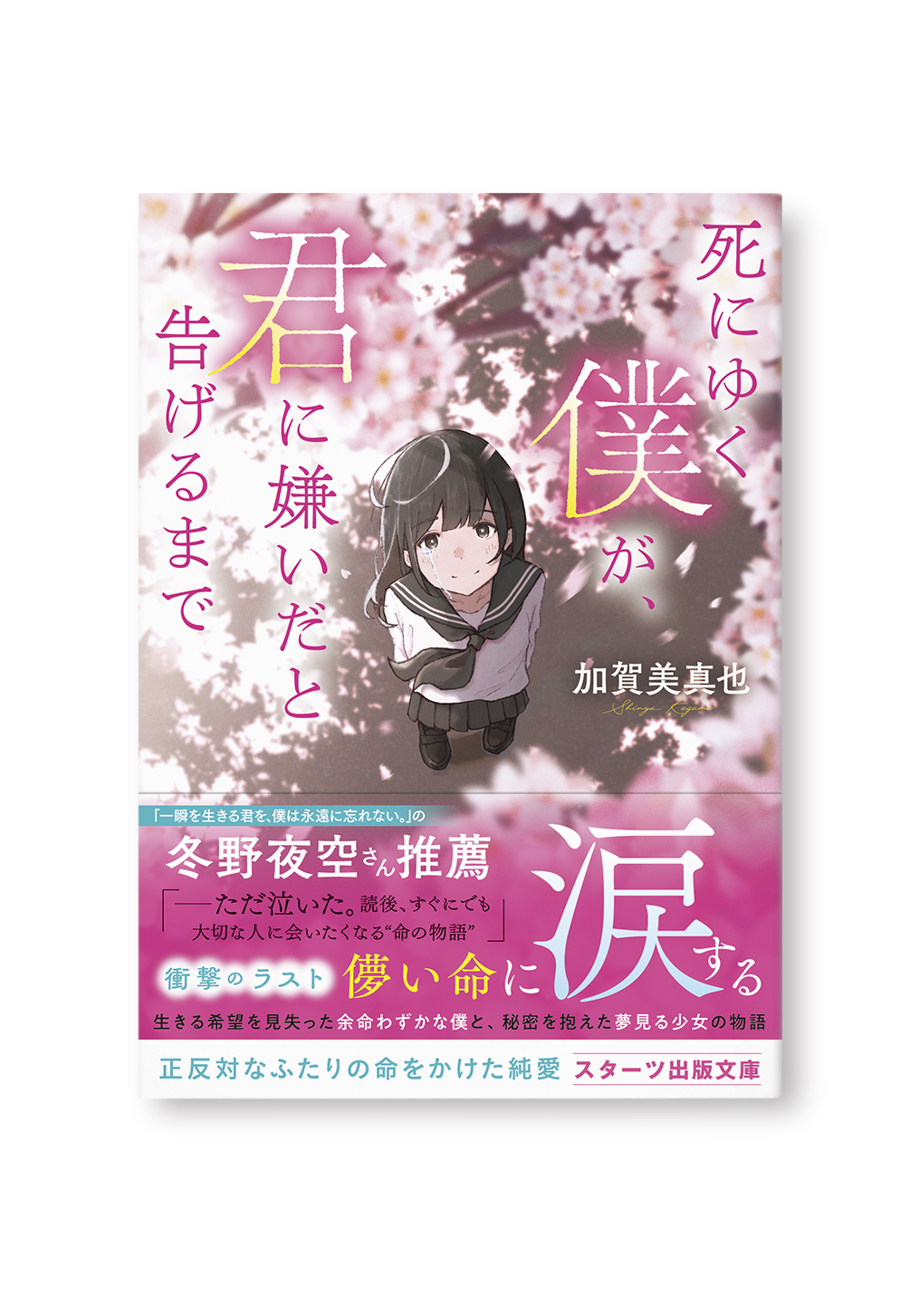死にゆく僕が、君に嫌いだと告げるまで