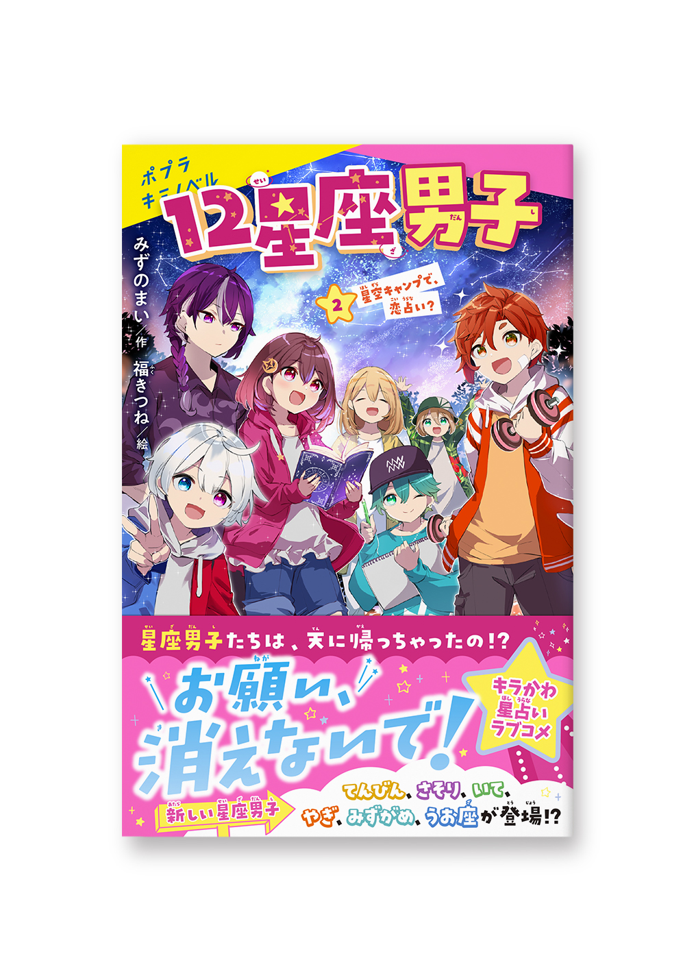 12星座男子