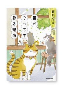 猫がこっちを見る理由