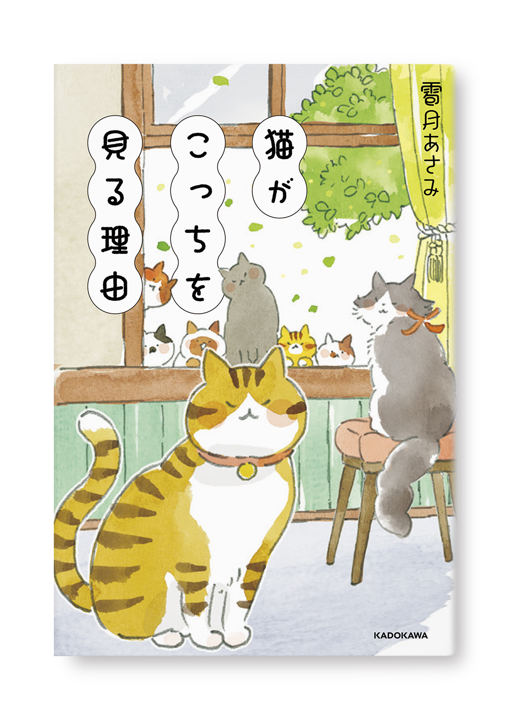 猫がこっちを見る理由