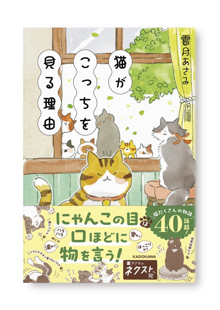 猫がこっちを見る理由