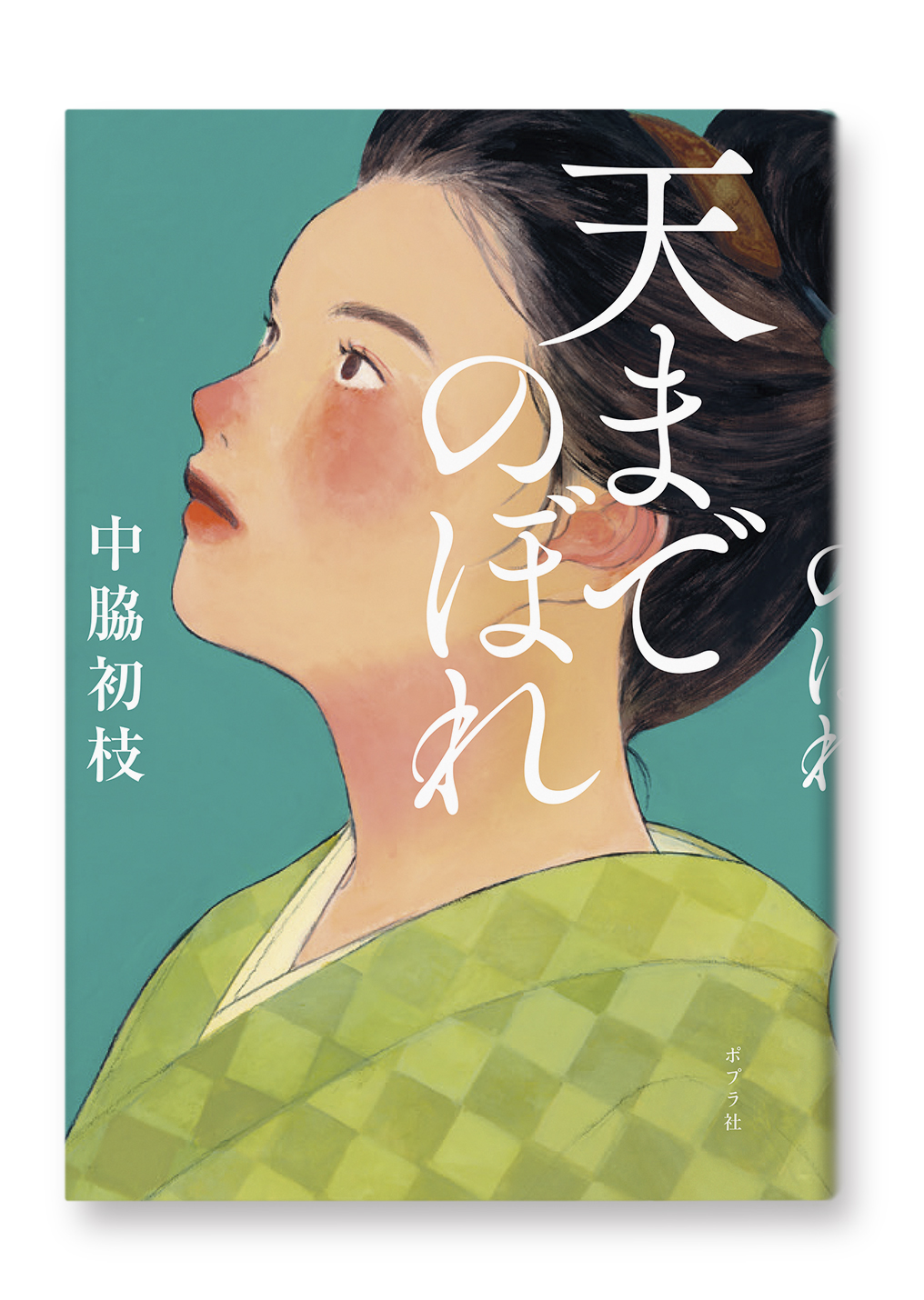 天までのぼれ